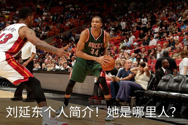 刘延东个人简介！她是哪里人？