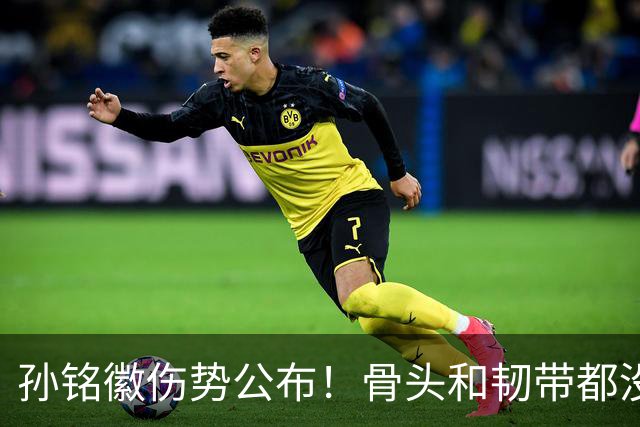 孙铭徽伤势公布！骨头和韧带都没问题，正常崴脚，恐一阶段报销