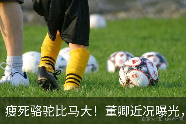瘦死骆驼比马大！董卿近况曝光，出门坐高级保姆车，豪门梦没破碎