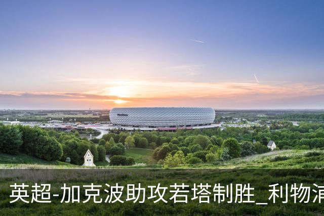 英超-加克波助攻若塔制胜 利物浦1-0水晶宫