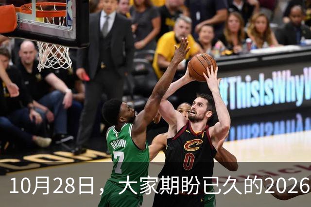 10月28日，大家期盼已久的2026退休养老金，究竟涨还是不涨？